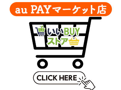 iiPasu株式会社,iiPasu㈱,イーパス株式会社,iiPasu Inc,イーパス,iipasu